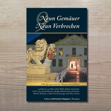 Buchcover mit dem Titel '9 Gemäuer, 9 Verbrechen' zeigt eine beleuchtete Schlossbrücke mit steinernem Löwen und im Hintergrund eine Burg. 